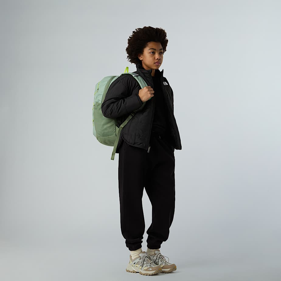 کوله پشتی روزمره نوجوانان eens' Jester Backpack از the north face